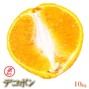 �y�󂠂�z �f�R�|�� ���I�� ���ƒ�p �a�̎R���Y �󂠂� �L�c�f�R�|�� 10.0kg ���k�n �L�c�s ���Y ������ �ʕ� �t���[�c �Y�n���� �f�R�|�� �������� �������� ������ 10�L�� ������ �� ���� ��
