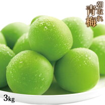 楽天市場】青梅 3lの通販