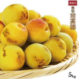 �y�󂠂�z �I�B�썂�~ �󂠂� ����ꊮ�n �~ ���ܕ� 5.0kg 5�L�� ���~ �~������� �~�W���[�X���ɍœK �T�C�Y�s���� �~�����p �i M L LL 3L 4L�j�i �~�����p / �W���[�X�p �j�Y�n���� �I�B ��