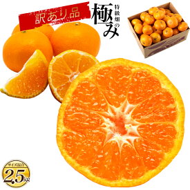 【訳あり】 極み 訳あり 有田みかん 2.5kg 特級畑の極み 訳あり有田みかん 蜜柑 ミカン サイズ混合2.5kg　和歌山みかん 有田市 みかん 小粒 大粒 大玉 小玉 蜜柑 ミカン set セット 果物 フルーツ 2.5キロ 箱 買い 家庭用 自宅用 産地直送 食品