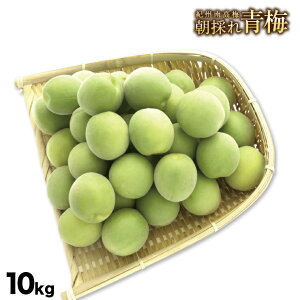 �~ �~��p �������� �I�B�썂�~ �a�̎R���Y �I�B �썂�~ ���̂�~ M�T�C�Y 10kg 10�L�� ���~ �F�~ �Y�n���� �I�B ���� �E�� ���F�~ ���� �a�̎R �①�� �~ ���H�p �i �~�� �~���� �W���[
