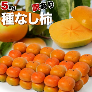 y󂠂z a̎R ˂Ȃ` 5kg Yn Ȃ ` 󂠂  햳 ʕ t[c 5L  JL ʕ t[c   Â  p ƒp s