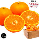 【訳あり】 送料無料 みかん 10kg 完熟みかん 2L以下 サイズ くす玉くん ジュニア 大玉みかんのワンサイズ小さいサイ…