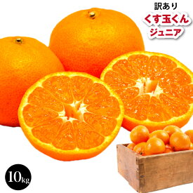 【訳あり】 送料無料 みかん 10kg 完熟みかん 2L以下 サイズ くす玉くん ジュニア 大玉みかんのワンサイズ小さいサイズ 農家直送 訳あり 蔵出しみかん 蜜柑　和歌山産 産地直送 フルーツ 果物 10.0kg 10キロ 訳アリ 甘い 箱買い 箱 買い
