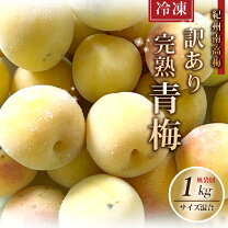 楽天市場】南高梅 完熟 4l 10kgの通販
