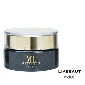 MT ���^�g���� �X�e���N���[��