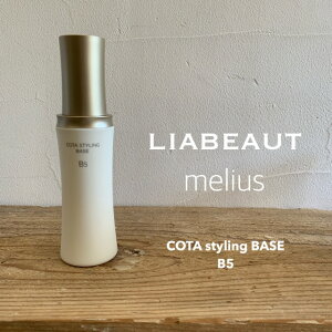 B5 100g@N[^CvyCOTAzR^X^COx[X@B5@100gAEgoXg[gg􂢗Ȃg[ggt[u[P̍聄ZPA