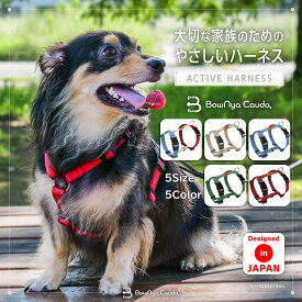 犬 ハーネス 抜けにくい 脱げない 小型犬 中型犬 大型犬 おしゃれ かわいい 喉に優しい 簡単装着 気管虚脱 負担が少ない 5カ所調節可能 獣医師推奨 BowNya Cauda,