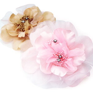 CXg[t2wayt[RT[WwAANZT[     Ǝ w sN x[W wANbv v[g