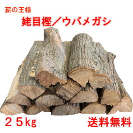 薪 森の厳選 薪王 姥目樫 薪の王様 ウバメガシ 25kg 広葉樹乾燥薪 焚き火 焚火 たき火 キャンプファイヤー 薪ストーブ ロケットストーブ 暖炉 燃料 窯 BBQ バーベキュー 送料無料（メーカー直送品・同梱不可）