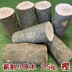 薪割り原木 樹王 樫の木 25kg 薪割体験 薪作り 広葉樹薪 焚き火 焚火 たき火 キャンプファイヤー 薪ストーブ 暖炉 燃料 窯 アウトドア キャンプ 薪割 玉切り（メーカー直送品・同梱不可）