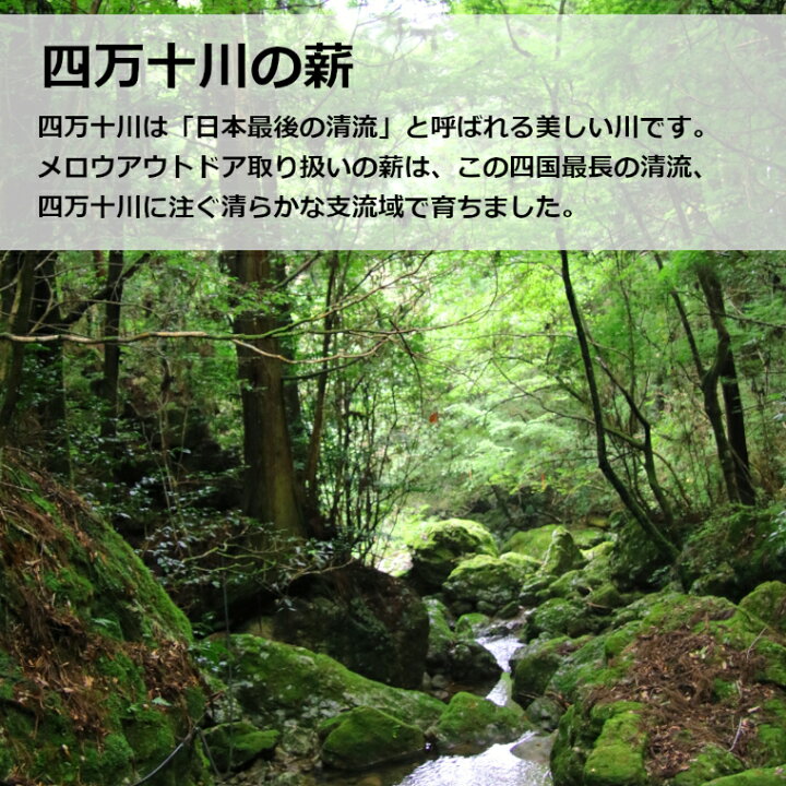 楽天市場】森の薪割台 姥目樫 薪の王様 ウバメガシ薪割り台 広葉樹原木 