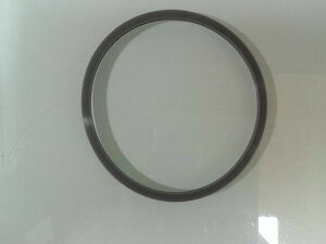 s[RbNiFpbLGIGC-SNP/IGCWjAWOpk10g-1lk[֑Ήl