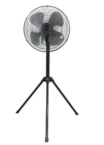 KODEN�F�H�Ɛ�(43cm)(�u���b�N)/CFF435TPA-FD