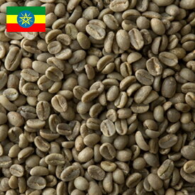 珈琲生豆 エチオピア イルガチェフェ G2 500g コーヒー生豆 送料無料 生豆 コーヒー豆 自家焙煎 焙煎 趣味 手網焙煎 フライパン焙煎 アウトドア キャンプ 浅煎り 中煎り 深煎り 家庭焙煎 Ethiopia