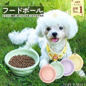 フードボウル 折りたたみ ペット用食器 ウォーターボウル 犬 水入れ シリコンボウル コンパクト 折畳みボウル 折り畳み食器 カラビナ付き 軽量 持ち運び 携帯 ポータブル 小型犬 ペットグッズ ペット用 犬用 イヌ用 いぬ用 猫 ネコドッググッズ キャンプ アウトドア