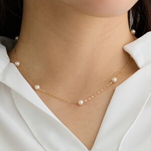 yő10OFFN[|IzlbNX fB[X p[ Xe[Vp[ ؚ 18kgp S[h Vo[ sNS[hWG[ ANZT[  w Ǝ