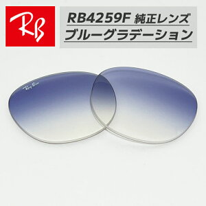 �yRB4259F-L19�zRay-Ban ���C�o��RB4259F�p �������������Y 53�T�C�Y�����y�ʃv���X�`�b�N�@�u���[�O���f�[�V�������S�E�������@�ȒP����RB4259F-60119 / 0RB4259F-601/19