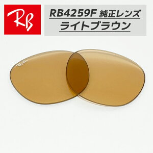 �yRB4259F-L93�zRay-Ban ���C�o��RB4259F�p �������������Y 53�T�C�Y�����y�ʃv���X�`�b�N�@�u���E�����S�E�������@�ȒP����RB4259F-60193 / 0RB4259F-601/93