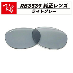 �yRB3539-L87�zRay-Ban ���C�o��RB3539�p �������������Y���C�g�O���[ RB3539-00287���S�E�������@�ȒP����Erika Metal / �G���J���^��