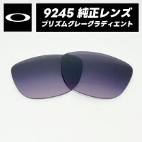 楽天市場】フロッグスキン プリズムグレーの通販
