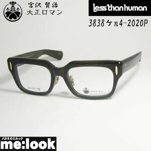  吳}Less than human XUq[}ዾ Kl t[ ZCh TOX{  3838Pn4-2020P TCY53 xtJ[LrWYłDȃTOX쐬