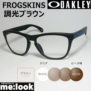 サングラス 6154 9245 フロッグスキン」の人気商品一覧 | 安い商品を 