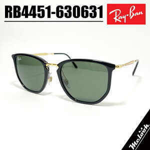 Ray-Ban Co RB4451-630631 RayBanTOX RB4451-6306/31 ubNO[ Green Y fB[XY fB[X Z jpfLuxottica Japan {Ki