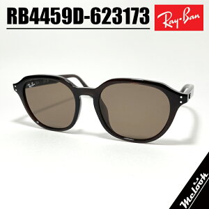 Ray-Ban ���C�o�� RB4459D-623173�T���O���X RB4459D-6231/73 �u���E���I�p�[���u���E�� Opal Brown�����Y ���f�B�[�X �Z�� �j�����p���f��Luxottica Japan ���{�������K�i