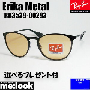 RayBan ���C�o�� RB3539-00293-54ERIKA METAL �G���J���^�� �T���O���X�u���b�N RB3539-002/93
