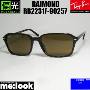 RayBan Co RB2231F-90257RAIMOND@ChXNGA@ΌTOXnoi@RB2231F-902/57