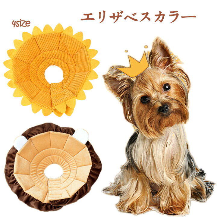 楽天市場 エリザベスカラー 犬 猫 ペット ソフト 傷舐め 足舐め 傷口保護 ひっかき 引っかき防止 猫用品 傷舐め防止 ドッグケア キャットケア 柔らかい 手術 怪我 ケガ 術後 ケア用品 ボタン型 噛み防止 傷口 皮膚 炎症 犬用品 Melville