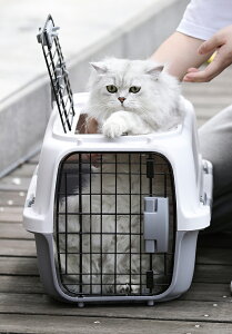 ybgL[P[W LL[ L[obO ^ s@ LpL[ GAgxL[ lR ybgobO ybgP[W ybgpobO s ybgL[P[X n[hP