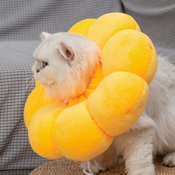 売り切り御免！】 エリザベスカラー ペット 小物 医療用 犬 猫 黄色 S
