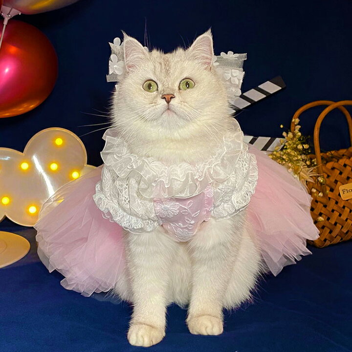 楽天市場 ペット服 犬服猫服 ウェディングドレス 犬服 ドッグウェア キャットウェア ウェディング ワンピ フォーマル 結婚式 挙式 洋服 猫 ウェディング ドレス ピンク リボン付き フォーマルドレス 小型犬 中型犬 ペットウェア ウェディング 子猫成猫 チワワ お祝い