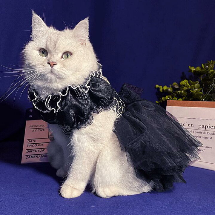 楽天市場 ペット服 犬服猫服 ウェディングドレス 超豪華 黒色ドレス 高級感 犬服 ドッグウェア キャットウェア ウェディング フォーマル 結婚式 挙式 葬式 洋服 猫 ウェディング ドレス ブラック フォーマルドレス 小型犬 中型犬 ペット ウェディング 子猫成猫 チワワ