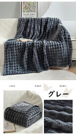 ブランケット ひざ掛け 毛布 フランネル 裏ボア あったか 保温防寒 ブランケット 100×150cm チェック柄 軽量 寒さ対応 ブランケット 丸洗い マイクロファイバー もちもち ブランケット 肩掛け 暖房対策 お昼寝 ソファーカバー ブランケット 北欧 大判 ブランケット 送料無料