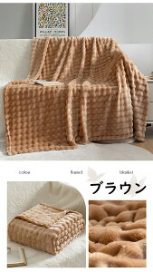 uPbg Ђ| ѕz tl {A  ۉh uPbg 100×150cm `FbN y Ή uPbg ې }CNt@Co[  uPbg | 