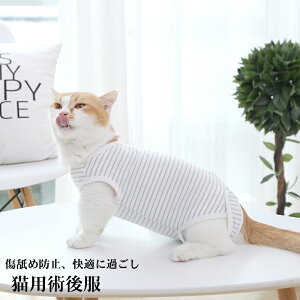 Lpp㕞 p ybgpp㕞 pi Lp p _炩 y rߖh~ p ޖh~ 앞 Rbg 畆ی ybgpi ^ ^ ^ Lp r  r