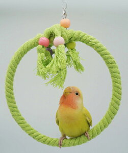 p~܂ z ~܂ [v ݂艺 CRp ~܂ CRp  CR  ϋv  p~܂ Ȑ 킢 P[Wݒu~܂ ZLZCCR CRpn[