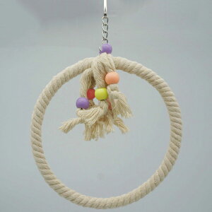 p~܂ z ~܂ [v ݂艺 CRp ~܂ CRp  CR  ϋv  p~܂ Ȑ 킢 P[Wݒu~܂ ZLZCCR CRpn[