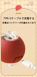 d{[ Lp {[  ߋ VR ybgp {[ XgX {[ {[ typeC[d Q {[d{[ ybgߋ XgXU L