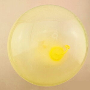 ou{[ 2Zbg ȂD  120cm D D  r[`{[ AEghA V  lC  q ċx Ct[^u{[ ou o[ r[`{