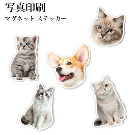 【切り抜きサービス付き】ペット写真印刷 アクリルスタンド ペット写真 記念写真 マグネットステッカー 犬 猫 メモリー オーダーメイド 愛犬愛猫 メモリアルアクリル板 メモリアルグッズ 両面印刷 贈り物 記念品 写真 記念 受注生産 誕生日 アイドル オーダーメイド 送料無料