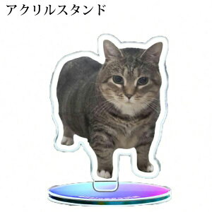 y؂蔲T[rXtzybgʐ^ ANX^h ybgʐ^ LOʐ^ }OlbgXebJ[  L [ I[_[Ch L AAN AObY 