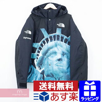 Supreme The North Face Statue Of Liberty Mountain Jacket Supreme And Everybody