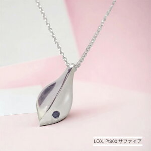 yLC01/Pt900z⍜y_g AWG[LC01 v`i Sh^Cv \ v`i900×aΐ