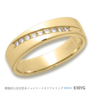 ⍜OyMR06 CG[S[hzK10YG or K18YG _Ch@AOMR06 `⍜ɕ銮Sh̎wց`