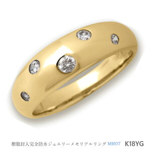 yMR07 S[hzK10YG or K18YG AOMR07 _Ch5 `⍜ɕ銮Sh̎wց`