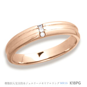 yMR16/sNS[hzK18PG or K10PG _Ch3΁@AO@ `⍜O@Sh̎wց`